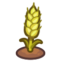 Ripe Wheat Plant