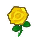 Yellow Roses