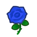 Blue Roses