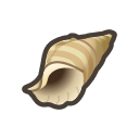 Conch