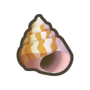 Sea Snail