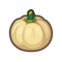 White Pumpkin