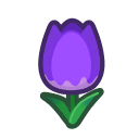 Purple Tulips