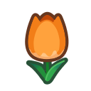 Orange Tulips