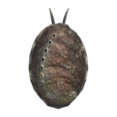 Abalone