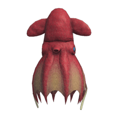 Vampire Squid