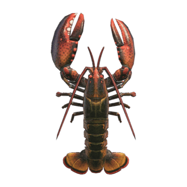 Lobster