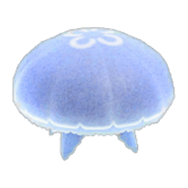 Moon Jellyfish