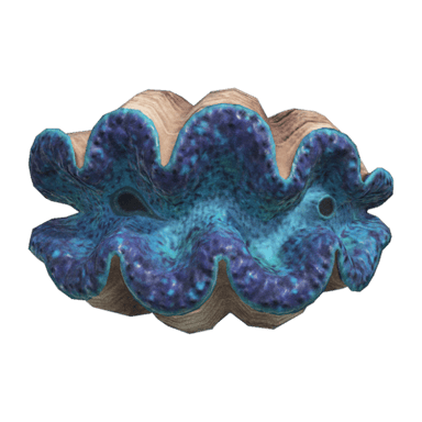 Gigas Giant Clam