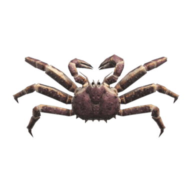 Red King Crab