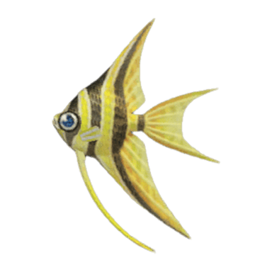 Angelfish