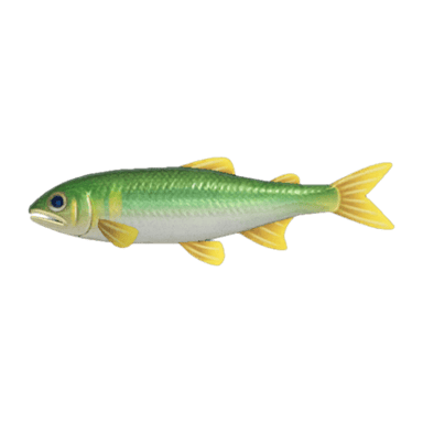 Sweetfish