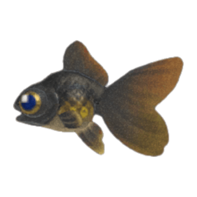 Pop-Eyed Goldfish