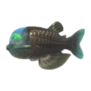 Barreleye