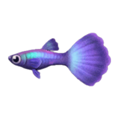 Guppy