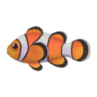 Clown Fish
