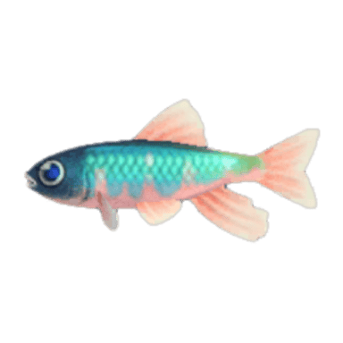 Pale Chub