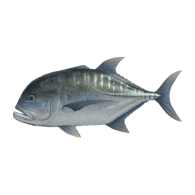 Giant Trevally