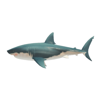 Great White Shark
