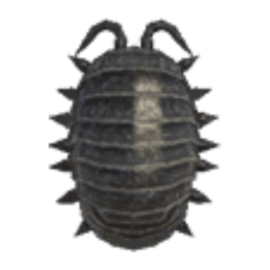 Pill Bug