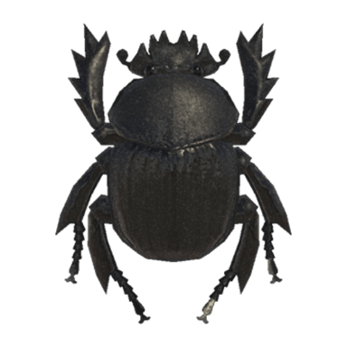 Dung Beetle