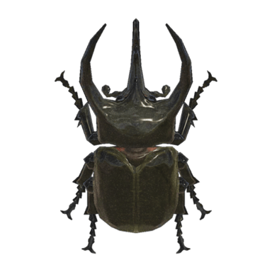Horned Atlas