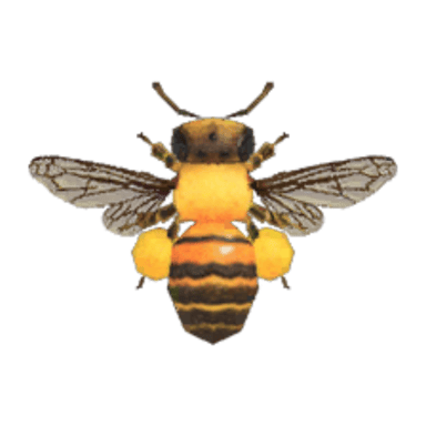 Honeybee