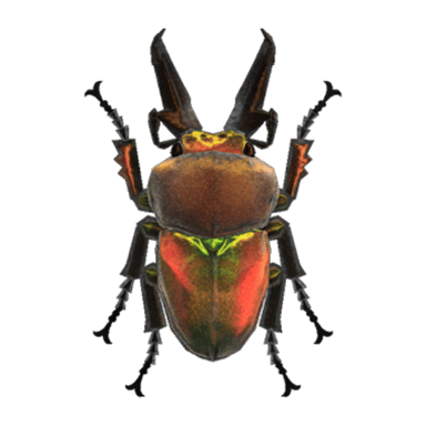 Rainbow Stag
