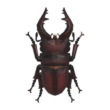 Saw Stag