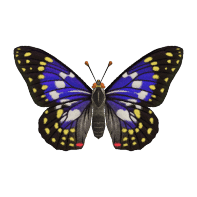 Great Purple Emperor