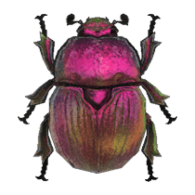 Earth-Boring Dung Beetle