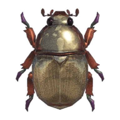 Scarab Beetle