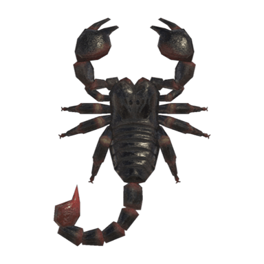 Scorpion