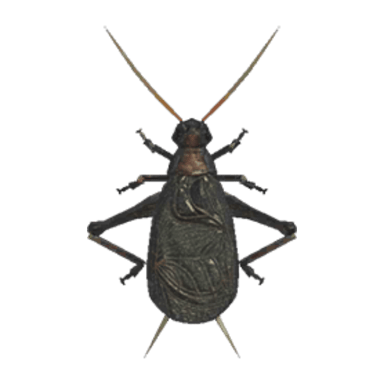 Bell Cricket