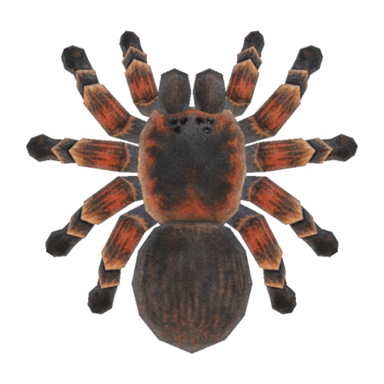 Tarantula