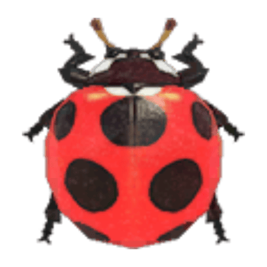 Ladybug