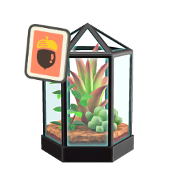 Terrarium DIY