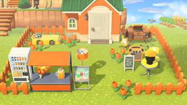 Tangy’s Lawn Kit