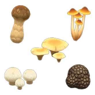 Mushroom Pack