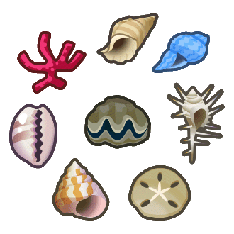 Shell Pack