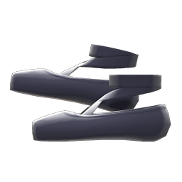 Ballet Slippers Product Image