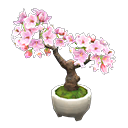 Cherry-Blossom Bonsai Product Image