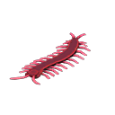Toy Centipede Product Image