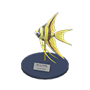 Angelfish Model Product Image