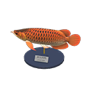 Arowana Model Product Image