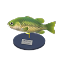 Black Bass Model Product Image