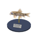 Nibble Fish Model Product Image