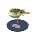 Blowfish Model Product Image