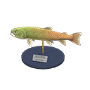 Stringfish Model Product Image