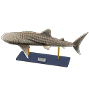 Whale Shark Model Product Image